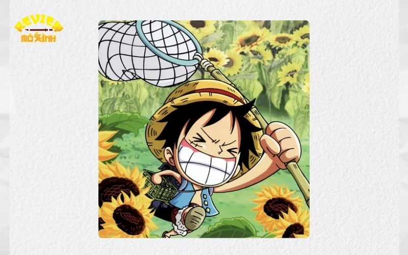 loài hoa tượng trưng cho luffy