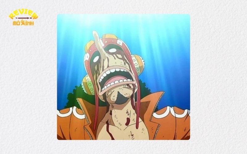 usopp haki