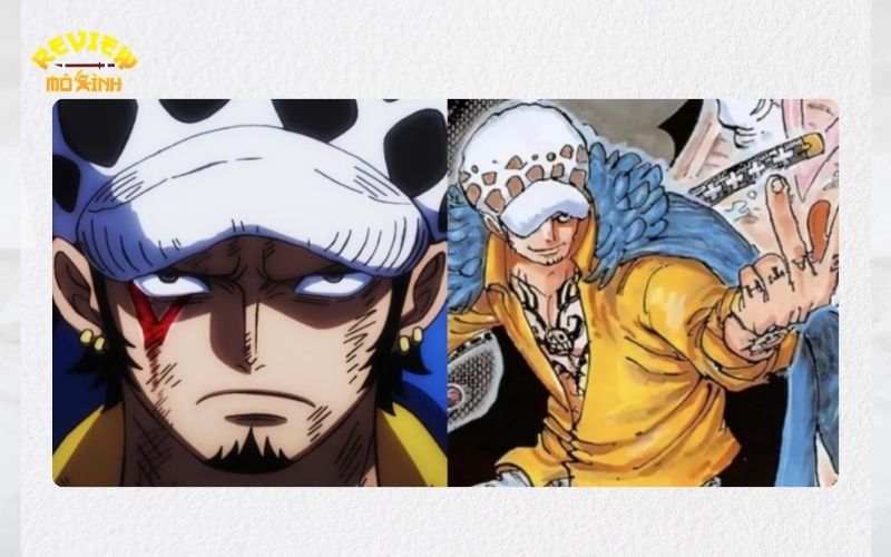 trafalgar law