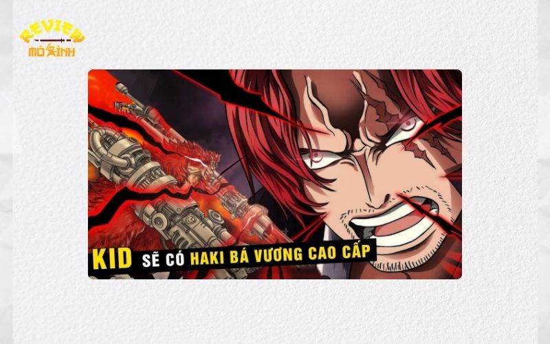 kid có haki bá vương không