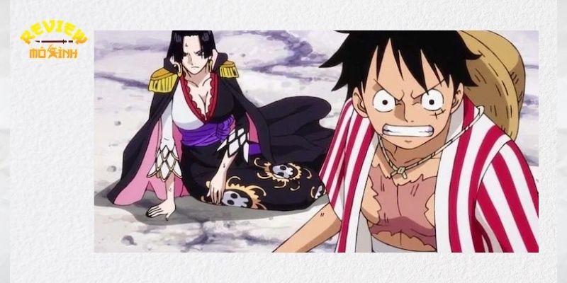 boa hancock yêu luffy